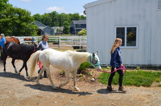 teen female volunteers at Image of Hope Ranch leading horses past a white barn in the background