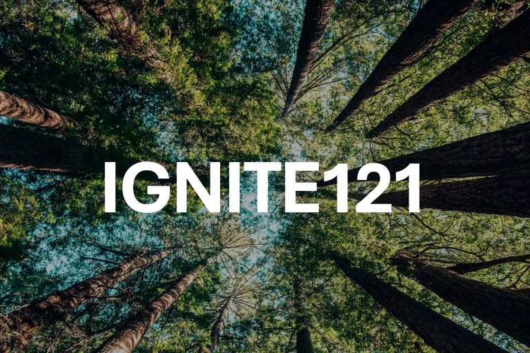 ignite121 on background showing view of looking up at a group of trees